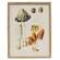 Vintage Scientific Mushroom Trio Framed Print 65381;