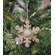 Antique Snowflake Ornament