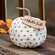 Hello Fall Star Pumpkin