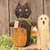 Trick or Treat Cat Doll