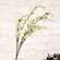 Cream Lilac Branch, 35" HJ092504;