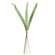 Sword Fern Bundle, 27" JH102501;