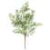 Maidenhair Fern Bush, 21.5" JH102503;