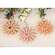 Pastel Wooden Daisy Ornament, 3 Asstd. RJA5532;