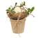 Nestled Egg in Pot SA112509;