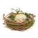 New Growth Mossy Bird Nest w/Egg SA112510;