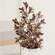 Gleaming Bronze Fittonia Spray, 27" SA112574;