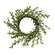 Baby Boxwood Candle Ring, 2.5" SA112578;
