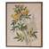 Yellow Anemone & Fern Botanical Box Sign 38258;