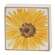 The Comfort of Friends Mini Square Blocks - 4/Set 38466;