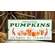 Organic Pumpkins Metal Sign
