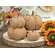 Dusty Orange Chenille Pumpkin 6"