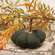 Black Distressed Fabric Pumpkin
