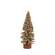 Champagne Gleam Bristle Tree, 8" FYL173673;
