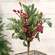 Shimmering Holly Pine & Berries Bush, 17" SA112601;