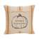 Autumn Blessings Orange Ticking Stripe Pillow, 10" Sq. 19161;