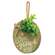Our Nest Round Sign Ornament w/Greenery, 3 Asstd.