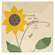 Buzzillion Blessings Square Plates, 2 Asstd.