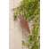 Wooden Carrot Ornament