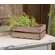 Medium Vegetable Wooden Crate