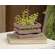 Small Vegetable Wooden Crate