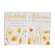 Golden Fall Wildflowers Box Signs, 2 Asstd. 38633;