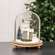 Holiday House Cloche 65396;