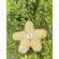 Yellow Striped Flower Ornament