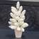 Potted Snowy Fantasy Pine Tree, 19" SA112551;