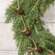 Joyful Rusty Jingle Bell Garland, 5 ft SA112564;