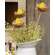 Hatching Chick in Nest Picks, 6/Set SHN5482;