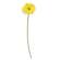 Gerbera Daisy Stem, Lemon Yellow