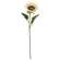 Blooming Sunflower Stem, Champagne 18129;