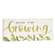 All Things Grow Bock, 3 Asstd.