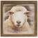 Serious Sheep Framed Print, Wood Frame
