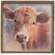 Cow Portrait Framed Print, Wood Frame