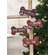 We Woof You A Merry Christmas Plaid Dog Bone Ornament, 4 Asstd.