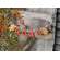 Fall Mini Clip Banner