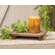 Stained Wood Rectangle Riser