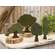 Distressed Carved Wood Poplar Tree Sitter