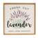 Fresh Cut Lavender Framed Sign 65258;