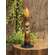 Bee Kind Burnt Mustard Timer Taper 6"