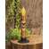 Bee Kind Burnt Ivory Timer Taper 6"