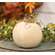 Primitive Mossy Natural Pumpkin, 5"