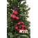 Buffalo Check Santa Hat Ornament