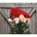 Peeping Mouse Santa Hat