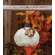 Cream Pumpkin Felt Ornament