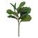 Fiddle Fig Spray FCD2335;