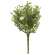 Eden's Gate Bush FFG3148;
