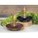 Colonial Taper Holder with Handle, Black